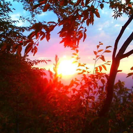 Tilia Cottage Banjska Stena Mitrovac Zewnętrze zdjęcie