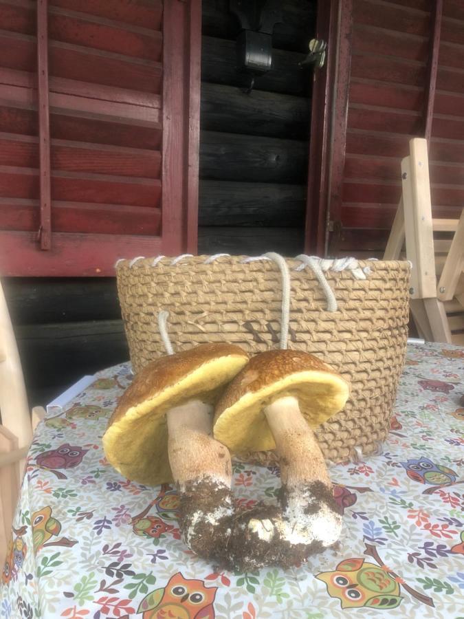 Tilia Cottage Banjska Stena Mitrovac Zewnętrze zdjęcie