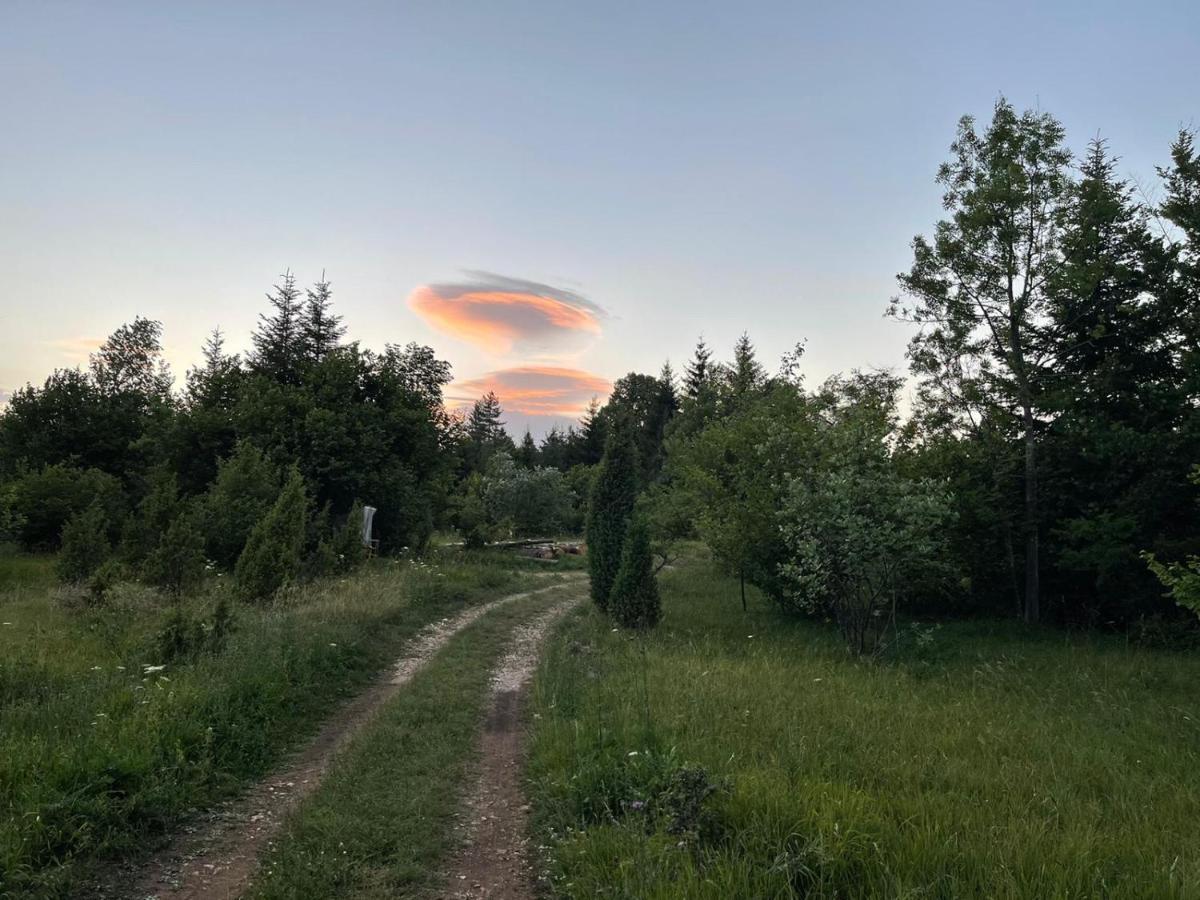 Tilia Cottage Banjska Stena Mitrovac Zewnętrze zdjęcie