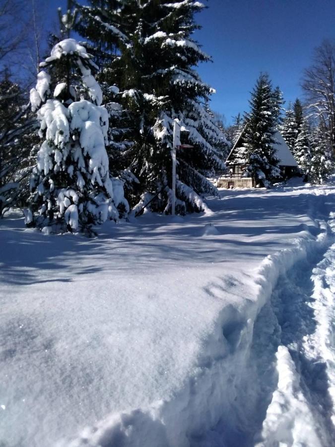 Tilia Cottage Banjska Stena Mitrovac Zewnętrze zdjęcie
