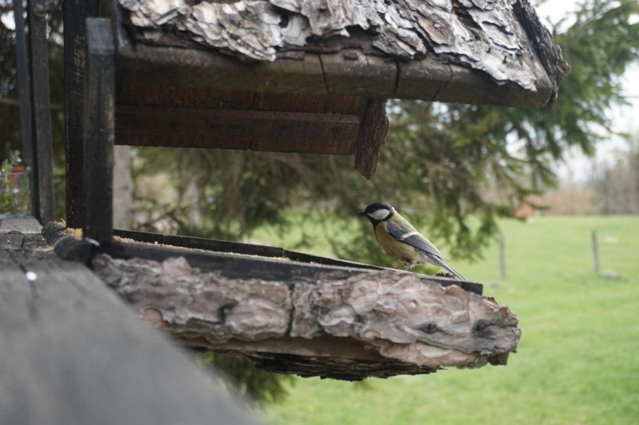Tilia Cottage Banjska Stena Mitrovac Zewnętrze zdjęcie