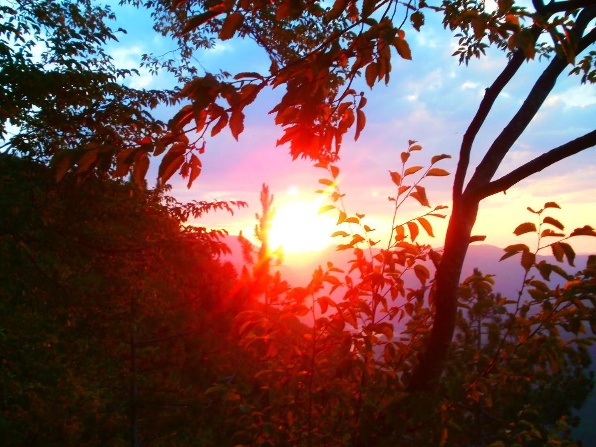 Tilia Cottage Banjska Stena Mitrovac Zewnętrze zdjęcie